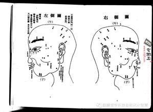 虎耳面相|解析面相中的虎耳